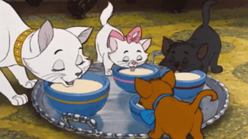 Animation GIF