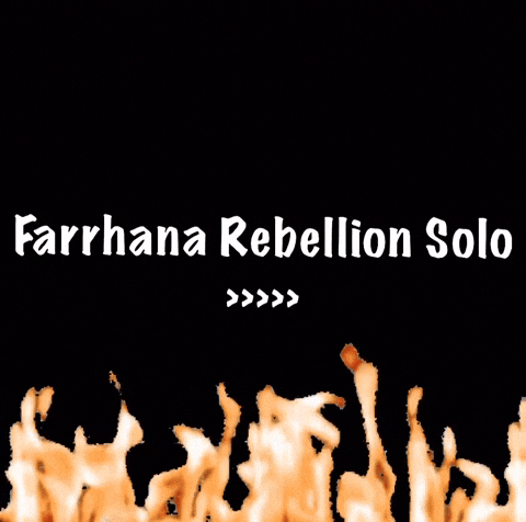 Fans Fandom GIF