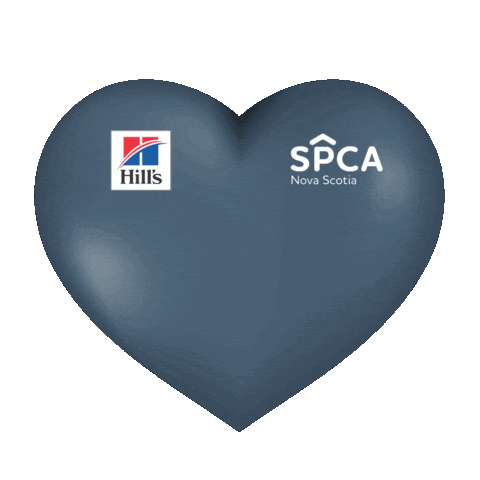 Adopt Best Friends Sticker by Nova Scotia SPCA