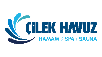 Çilek Havuz Sticker