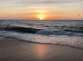 Summer Travel GIF by world-weather.ru