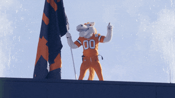 Football Nfl GIF by Broncos