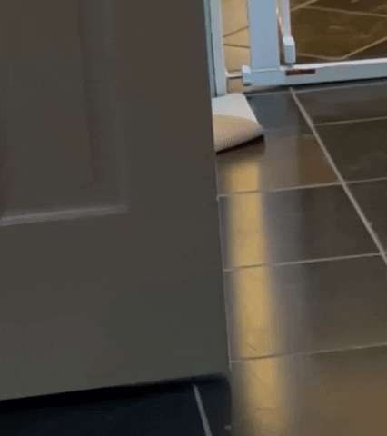 Baby GIF