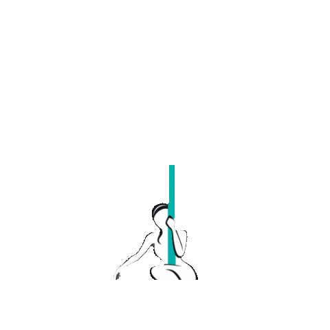 The Pole Gym Brisbane City Sticker