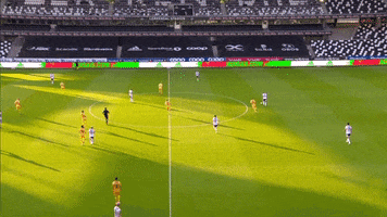 Bodoglimt GIF