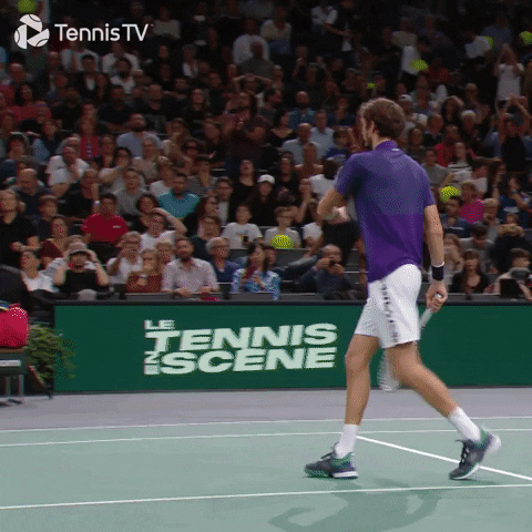 Daniil Medvedev No GIF by Tennis TV