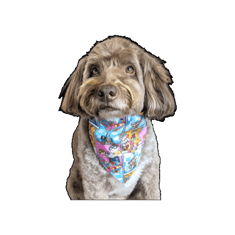 Disney Dog Sticker by Geekster Pets