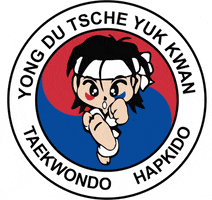 Taekwondo GIF by YongDu