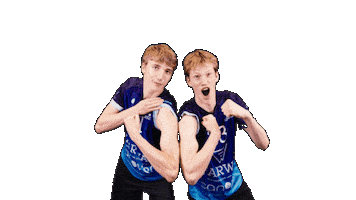 Vbtoléolé Sticker by VBT Machelen