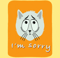Sorry Cat GIF