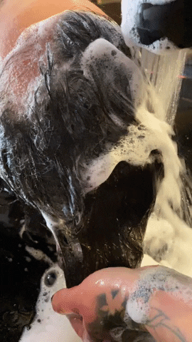 Junior & Hatter GIF
