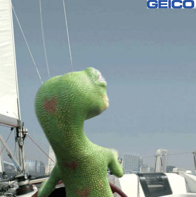 Boat Help GIF by GEICO