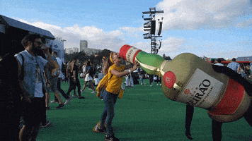 festival portugal GIF by Licor Beirão