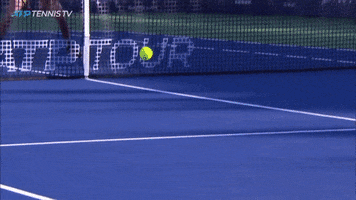 Sport Wow GIF by Tennis TV