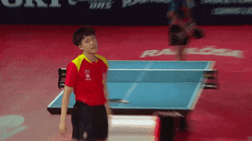 Ping Pong Win GIF by ITTFWorld