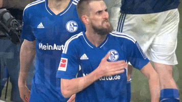 Football Love GIF by FC Schalke 04