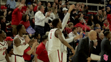 Pumped Up Celebration GIF by St. John's Red Storm