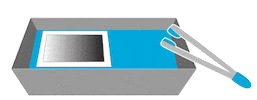 Film Sticker