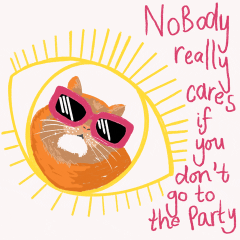 rach-foster cat party sunglasses eye GIF