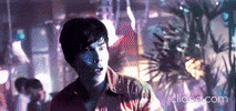 Pato GIF
