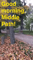 Middle Path GIF by Kenyon College