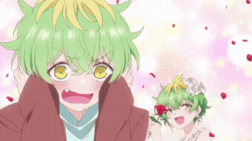 Miwa Mikadono GIF