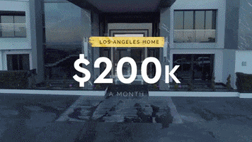 Company Forensics GIF