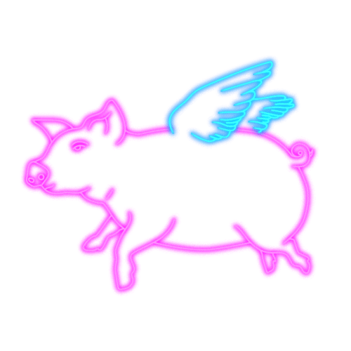 When Pigs Fly Neon Sticker by dylanreitz