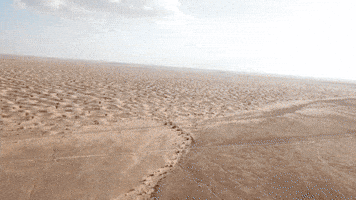 FenekRally GIF