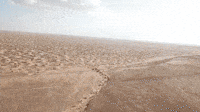 dunes-fenekrally-fenekrally2020-lmjpmKWHvI53dK1HAk