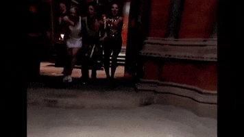 Spice Girls GIF