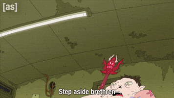 Australia Yolo GIF by Adult Swim