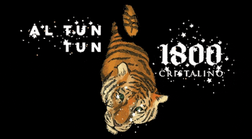 200.gif?cid=fc005b08204623d7fea6f9bfdb5cff81a11a2d87bf7a6faa&rid=200.gif&ct=g