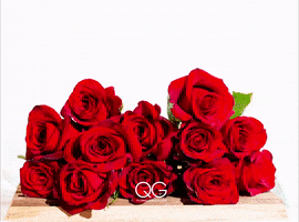 The Bachelor Flowers GIF by qgfloral