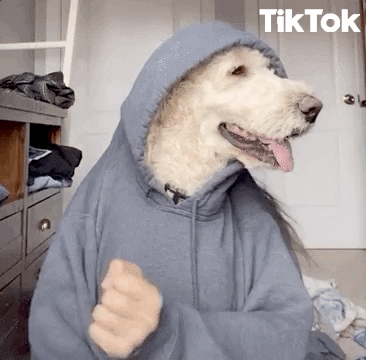 K Camp Puppy GIF by TikTok