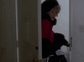 Fur GIF