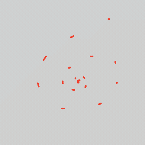 GIF by Boopy Club