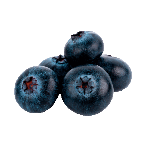 Sticker by Alpen Gold