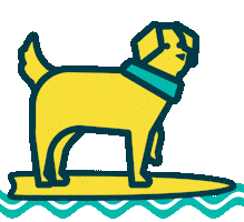 Dog Exercise Sticker by Bowel Cancer UK