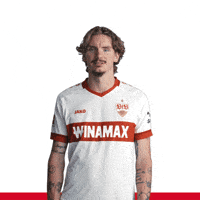 VfB-vfb-stuttgart-1893-lo1UxM1gE43Rv2nF0h