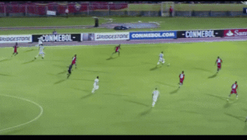 Libertadores GIF