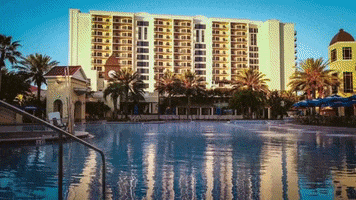 Hilton Grand Vacations Orlando GIF by HGVSocial