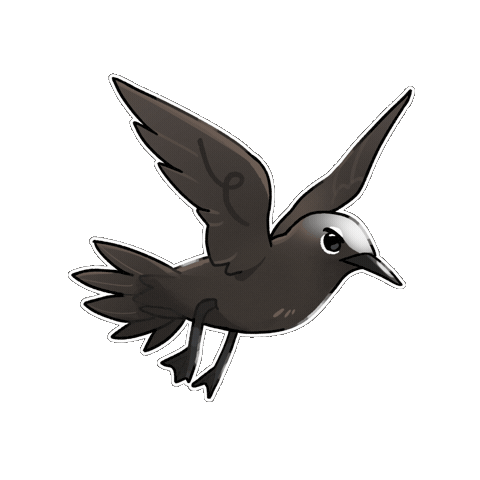 Bird 鳥 Sticker