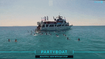 Party Summer GIF by zrce.eu