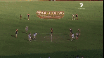 Geelong Cats Goal GIF by AFL