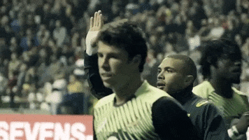 High Five Bryan Habana GIF by Rugby World Cup