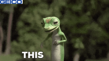 Laugh Yes GIF by GEICO