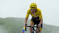 tdf-tdf2019-geraintthomas-lpNQ1gLroISTfRe231