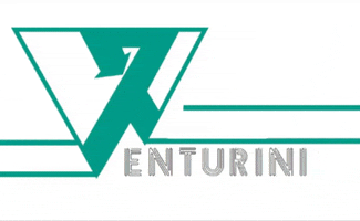 Venturini Viaggi GIF