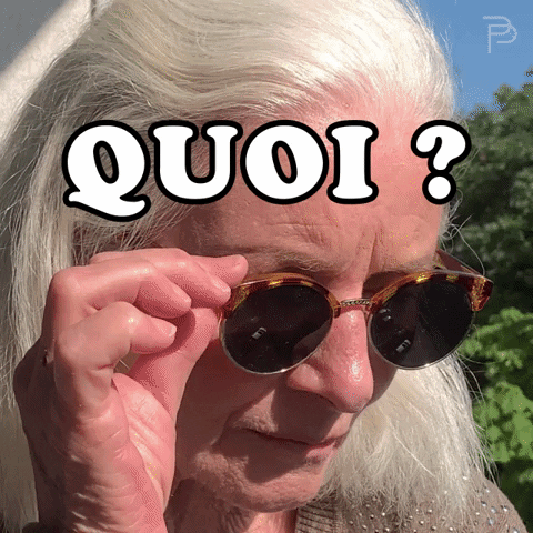 Sunglasses What GIF by PetitsFreresdesPauvres